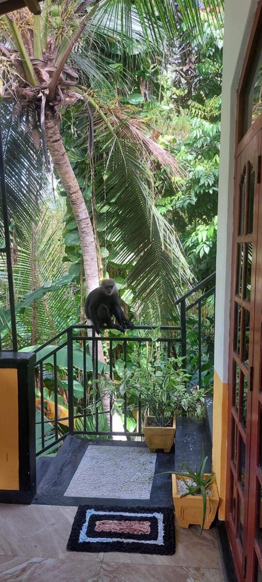 Freedom House Villa Unawatuna Exterior photo